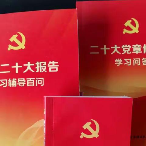 七支部开展学习《中国共产党章程》，学习习近平总书记二十大重要讲话主题党日活动