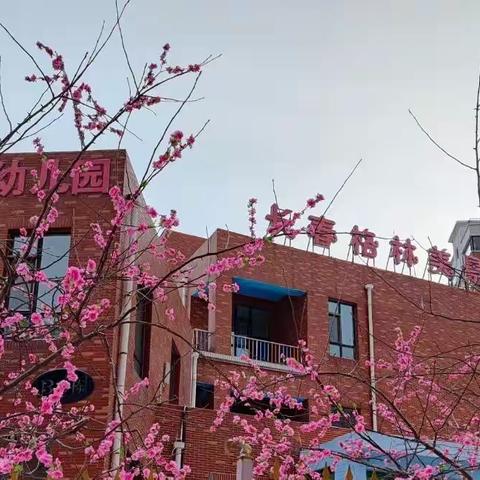 “停课不停学，线上共成长”，格林美景幼稚园线上教学活动