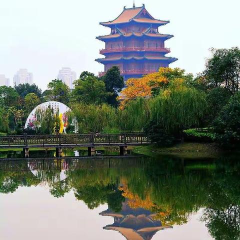 九九重阳节，浓浓敬老情。宜春百树幼儿园里的中国味🇨🇳