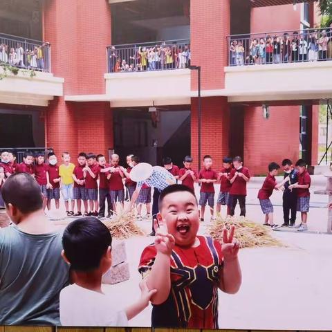 博物青禾，自然童心——小学四组走进重庆市青禾童心小学