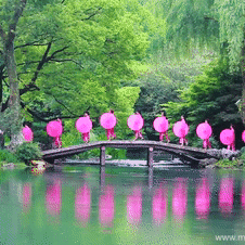 【群演风采】绝世风雅旗袍情