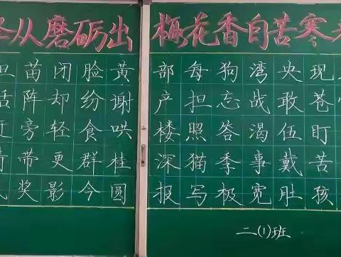 书中华汉字，做风华骄子——时代风华特色学校二年级师生同书展风采