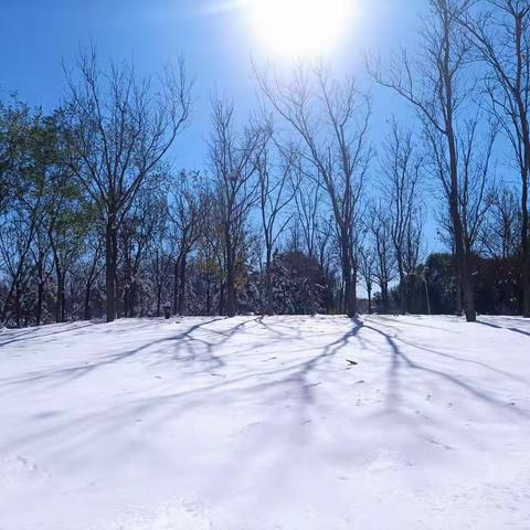 初雪满校园-记2021年冬天的第一场雪！