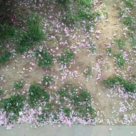 邂逅一场春雨!