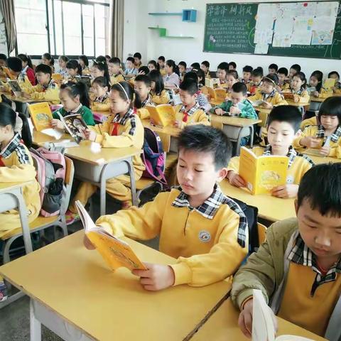 让阅读之心，明媚向阳――城关小学五（4）班实践性阅读汇报