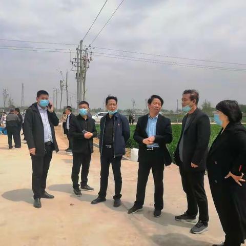 我县小麦统防统治拉开序幕