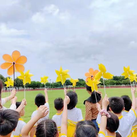 缤纷周末，快乐成长——311葵花中队德育作业展示