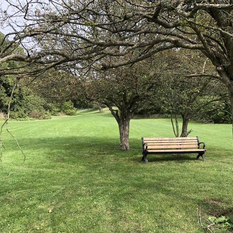 清明和一个缺乏仪式感的人