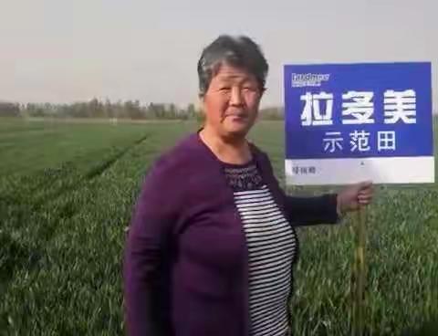 拉多美2020年武城小麦田大走访活动（东曹庄）