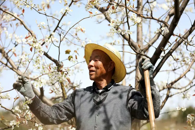 【巧石摄影】致最美劳动者