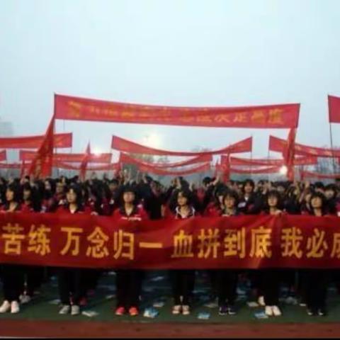 肥乡区一中1915班语文学科“停课不停学”阶段成果展
