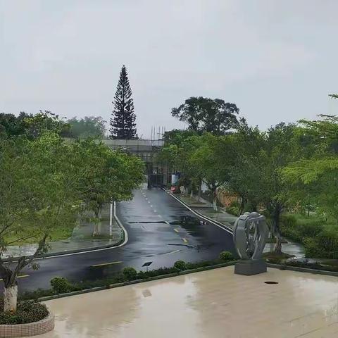 好雨随风润小荷——从化区太平镇莲塘小学4月社团活动