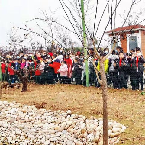 走进田间地头，尽享耕作之乐———杨凌高新第二小学三三班家委会活动