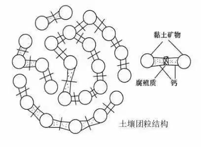 生物有机肥到底是什么？