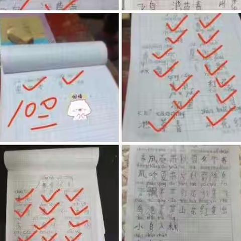 【空中课堂】“不忘初心，师生携手同行”| 郑州新徽实验学校线上教学教研
