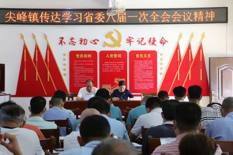 【能力提升建设年】尖峰镇召开会议传达学习省第八次党代会精神