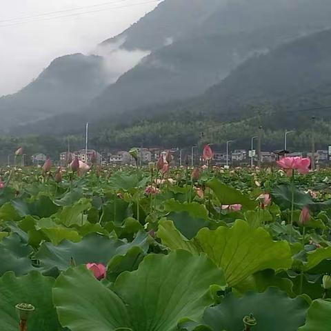 特色古镇---五夫镇一角。