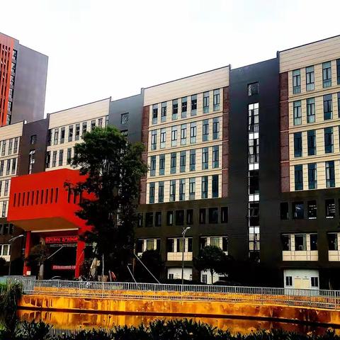 拥抱希望，梦在远方|云南省“万名校长培训计划”第五期85班第十七周学习周记