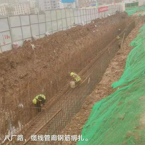 市政重点工程建设中心11月24日工作动态