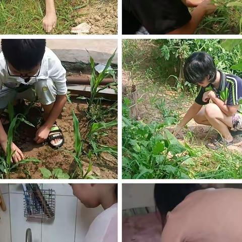 快乐暑假，充实一“夏”，“暑你最棒”——孙陶中心校韩村小学学生暑假学习生活展示