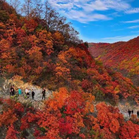 吃苹果赏红叶就到灵宝寺河山来👇