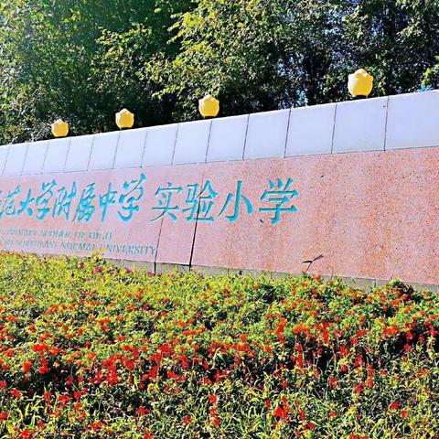 童心向党，争做党的好娃娃--二年组新学期开学式