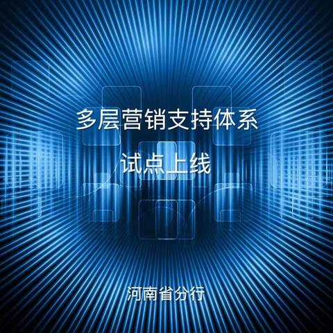 多层营销支持体系首期功能                    在河南省分行成功试运行