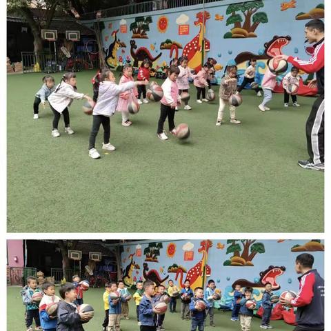 八二幼儿园体智能中班