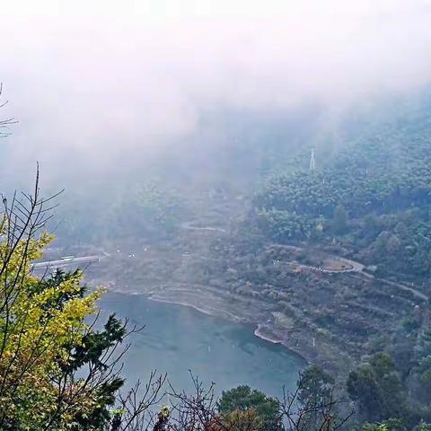 2019 年11月3 日一日游 （四明山=毛镬古村林=清水栈道=李家坑品柿子[愉快]