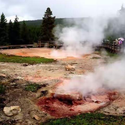 美国行（五）黄石公园