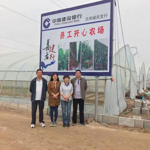 营业室菜园日记