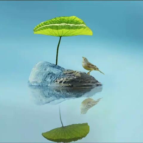 爱我中华亲子成长营国庆长假隆重举办