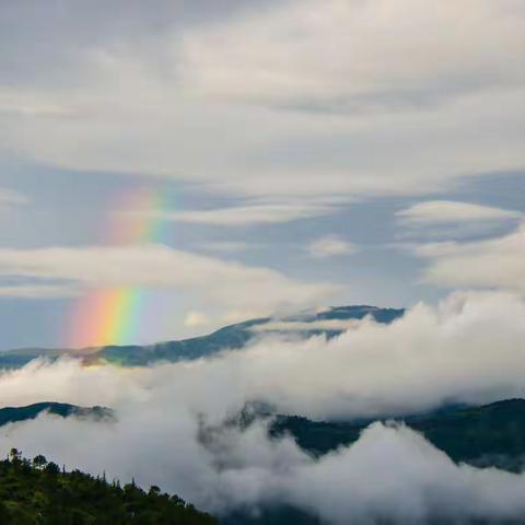 坐看流年  又看山浓云浅