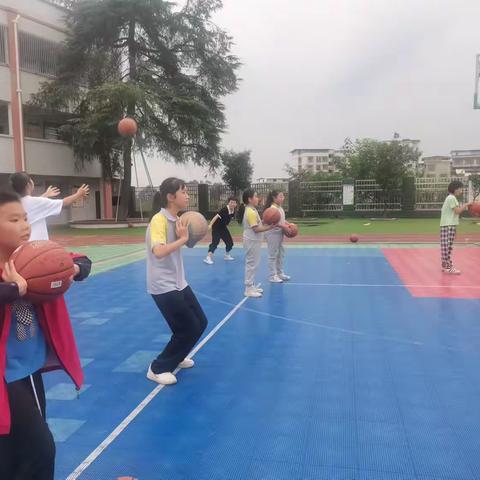 球场上的汗水与激情