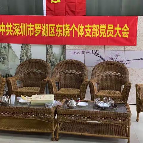 深圳市罗湖区东晓个体党支部党员大会