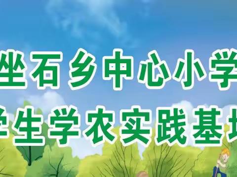 坐石乡中心小学学生学农实践基地第一届“播种节”