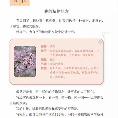 非鱼一期习作秀《我的植物朋友》