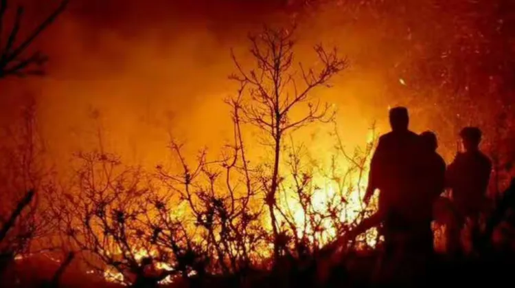 水火无情，大爱无疆。