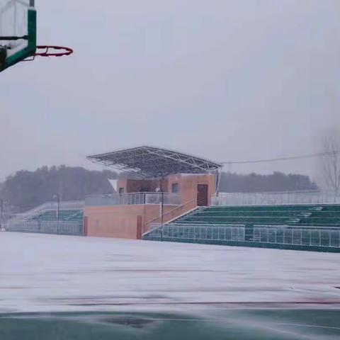 雪趣～～三6班小朋友与雪的邂逅