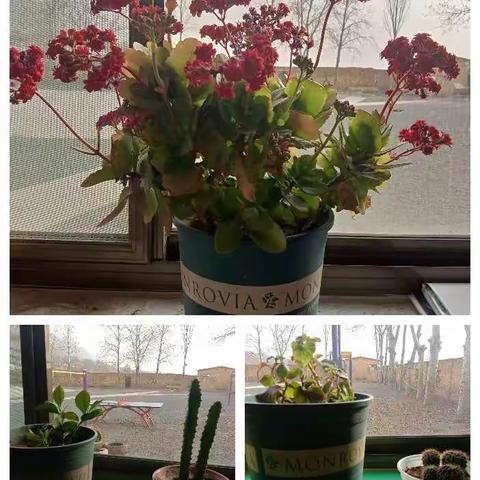 寻找春天，发现春天 ——双玉泉小学探春活动