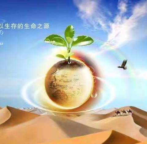 刘英小学205班朱依远      五水共治