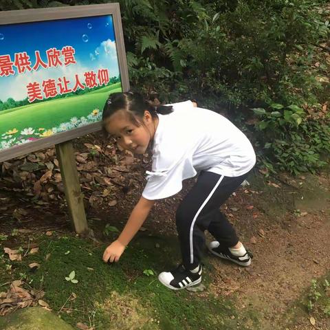 社会实践活动刘英小学205班－朱依远