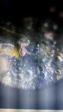 小小宝石大奇观，宇宙天体藏期间。星河浩瀚如实录，有如身临其境般。