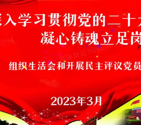 深入学习贯彻党的二十大精神凝心铸魂立足岗位做奉献———记平城区二十九校党支部2022年度组织生活会