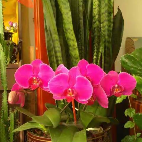 一周岁后的历练