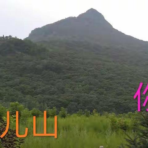 畅夕阳__情恋缘