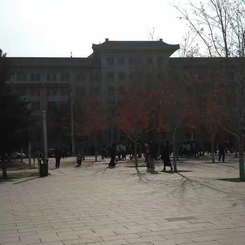 玉清的美篇2019年10月23日欣赏枫树