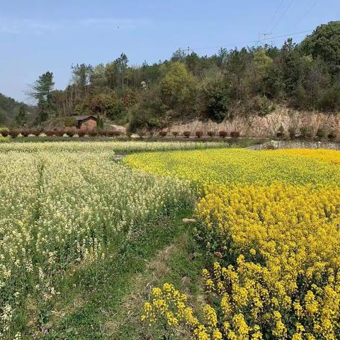 愿往后的余生都是彼此，愿余生都能与你为伴！（江西之旅有感）