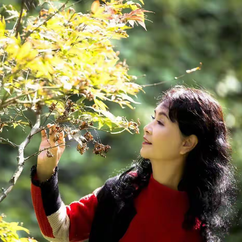 【魅力女人人像摄影】秋之恋 出 镜：丽丽 摄影师：阿斌 美篇号：1297730