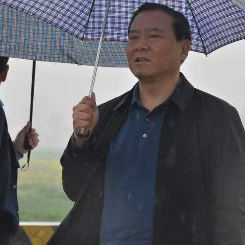 拆除违法建筑，严守耕地红线——县人大常委会党组书记、主任到大屯镇督导违法占地拆除工作